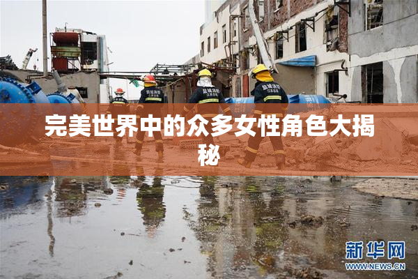 完美世界中的众多女性角色大揭秘