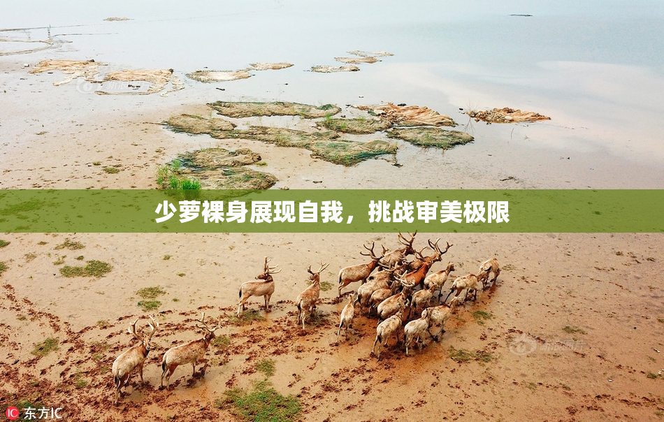 少萝裸身展现自我，挑战审美极限