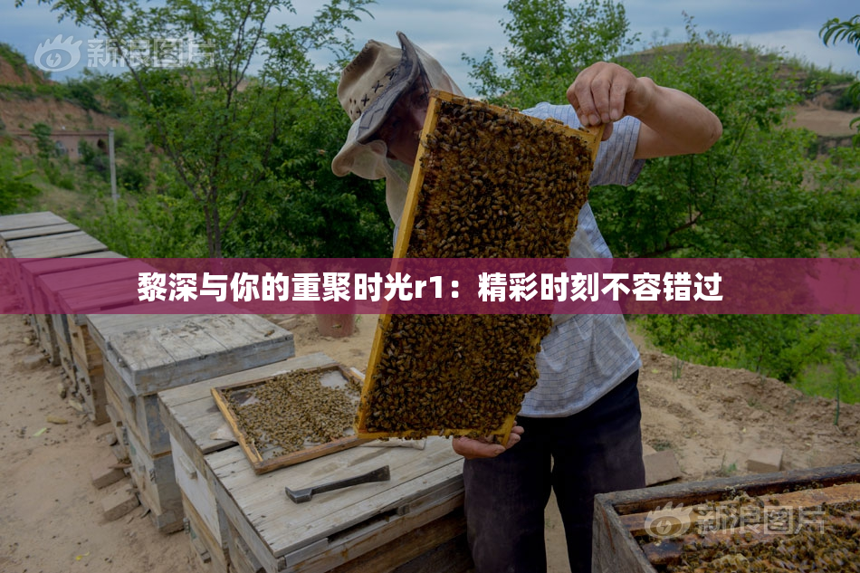 黎深与你的重聚时光r1：精彩时刻不容错过