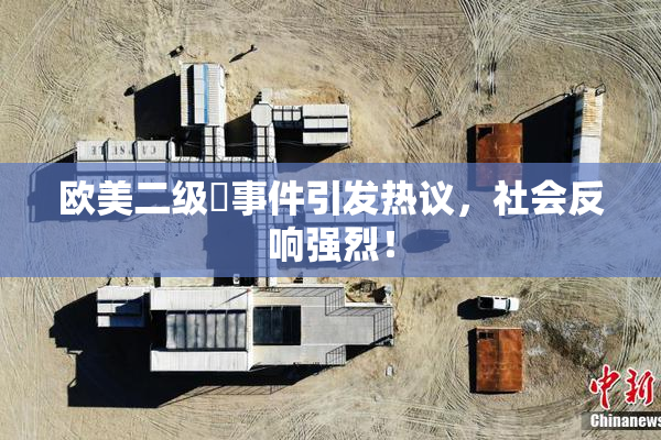 欧美二级婬事件引发热议，社会反响强烈！