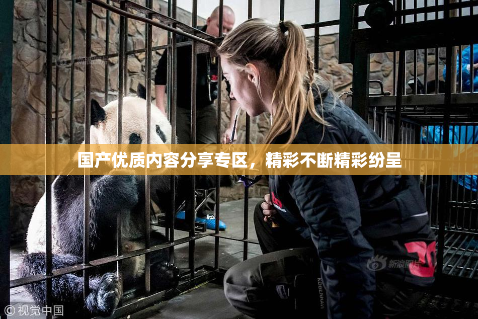 国产优质内容分享专区，精彩不断精彩纷呈