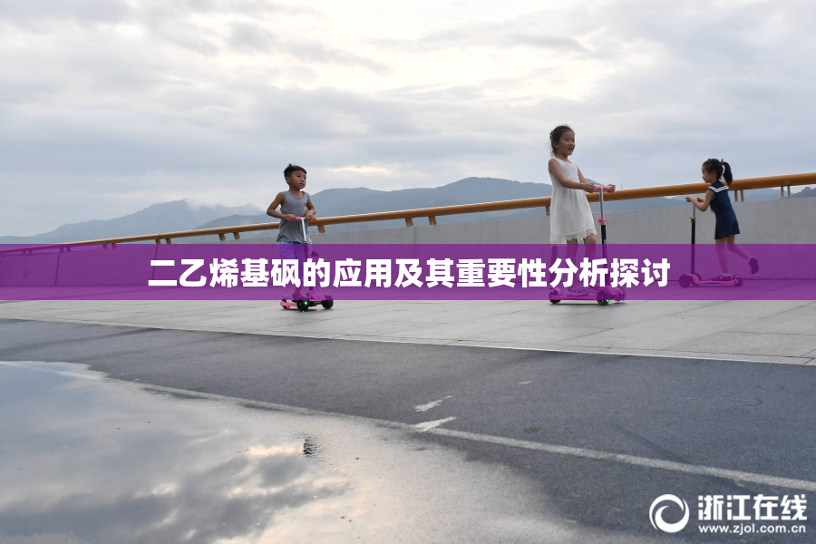 二乙烯基砜的应用及其重要性分析探讨