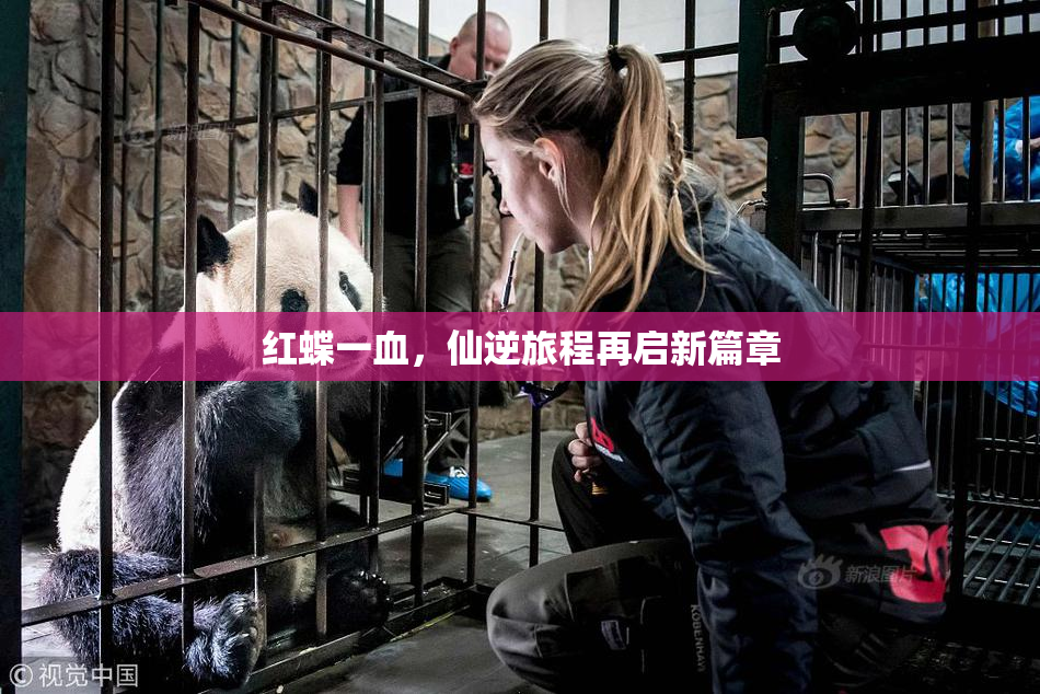 红蝶一血，仙逆旅程再启新篇章