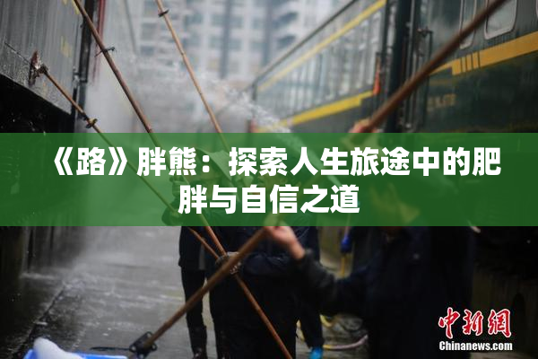 《路》胖熊：探索人生旅途中的肥胖与自信之道