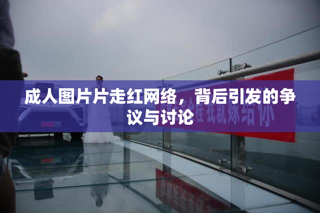 成人图片片走红网络，背后引发的争议与讨论