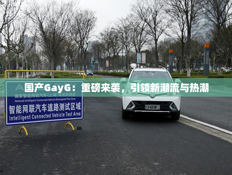 国产GayG：重磅来袭，引领新潮流与热潮