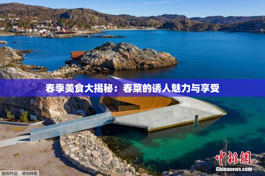 春季美食大揭秘：春菜的诱人魅力与享受