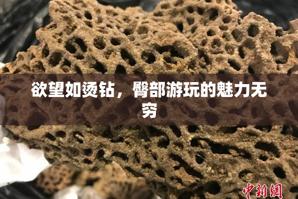 欲望如烫钻，臀部游玩的魅力无穷