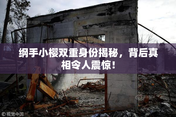 纲手小樱双重身份揭秘，背后真相令人震惊！