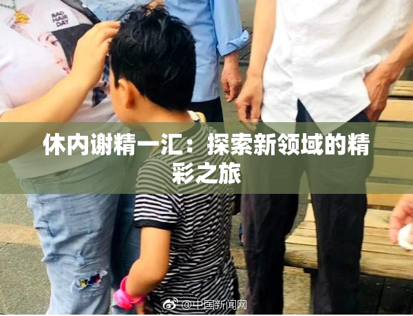 休内谢精一汇：探索新领域的精彩之旅