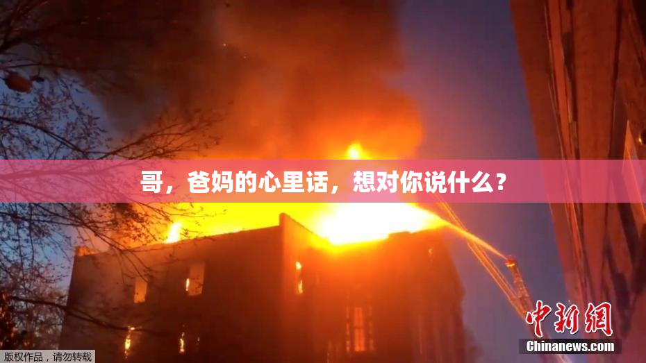 哥，爸妈的心里话，想对你说什么？
