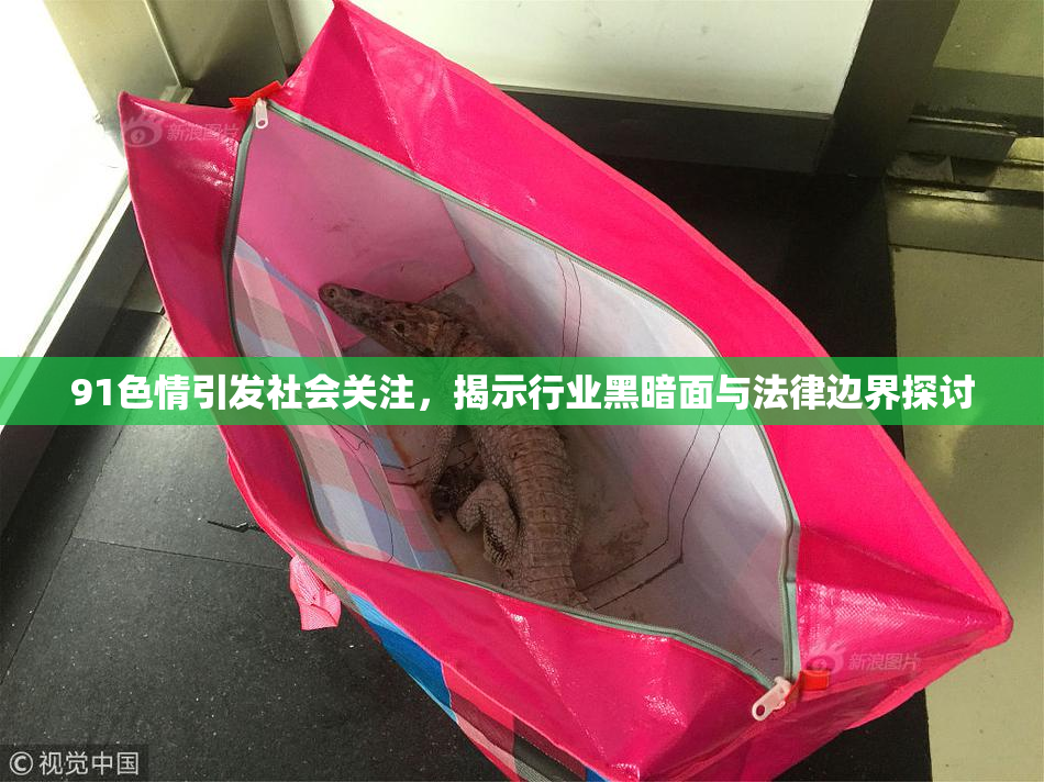 91色情引发社会关注，揭示行业黑暗面与法律边界探讨