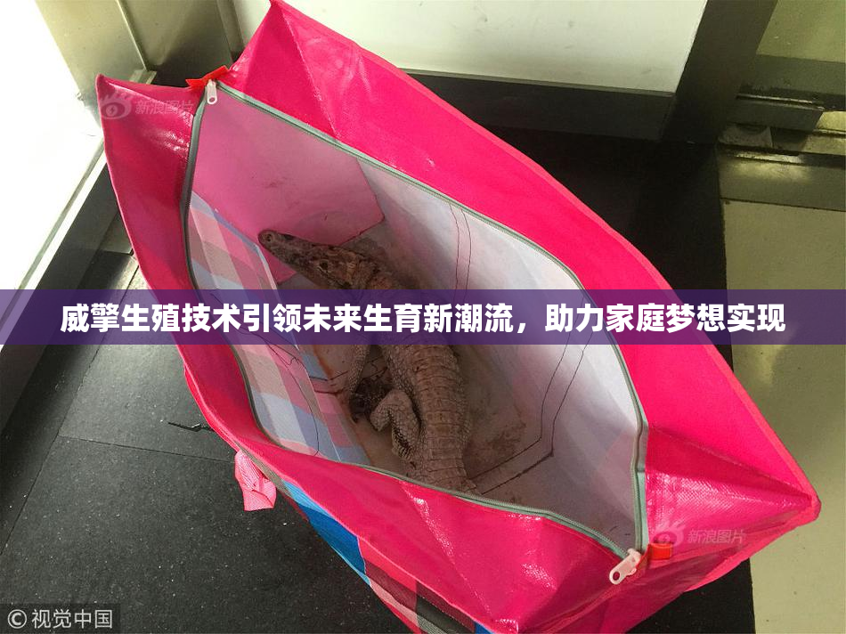 威擎生殖技术引领未来生育新潮流，助力家庭梦想实现