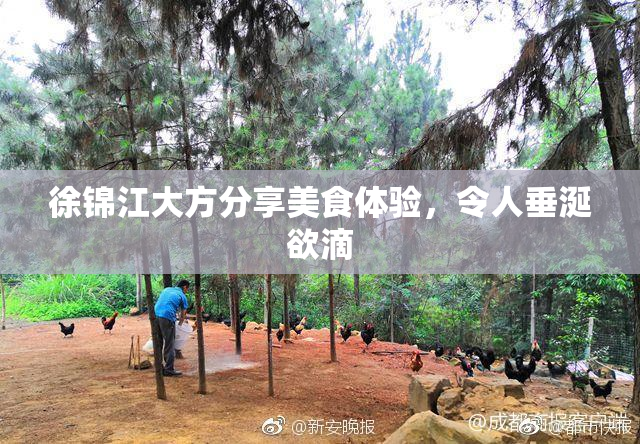 徐锦江大方分享美食体验，令人垂涎欲滴