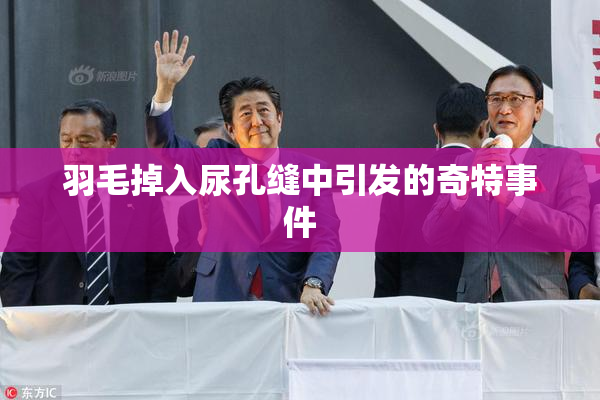 羽毛掉入尿孔缝中引发的奇特事件