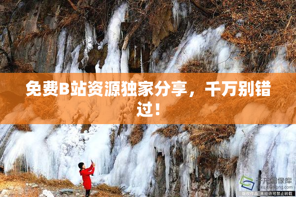 免费B站资源独家分享,千万别错过! 免费B站资源独家分享,千万别错过!