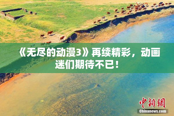 《无尽的动漫3》再续精彩，动画迷们期待不已！