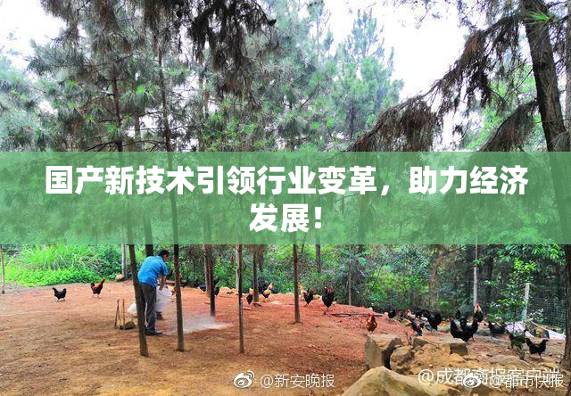 国产新技术引领行业变革，助力经济发展！