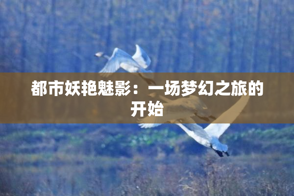 都市妖艳魅影：一场梦幻之旅的开始