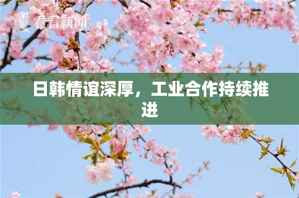 日韩情谊深厚，工业合作持续推进