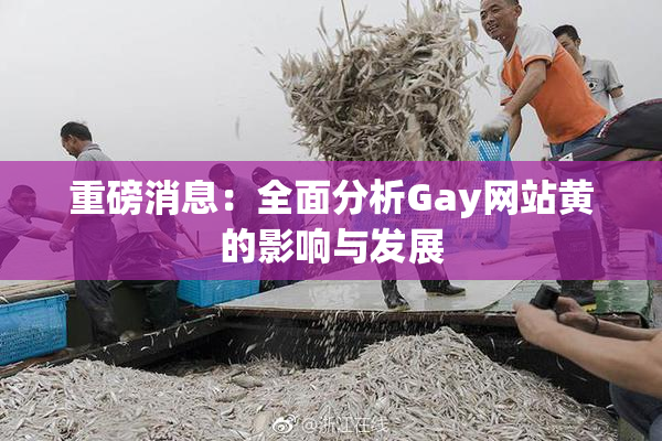 重磅消息：全面分析Gay网站黄的影响与发展