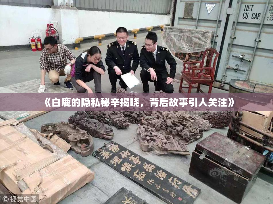 《白鹿的隐私秘辛揭晓，背后故事引人关注》