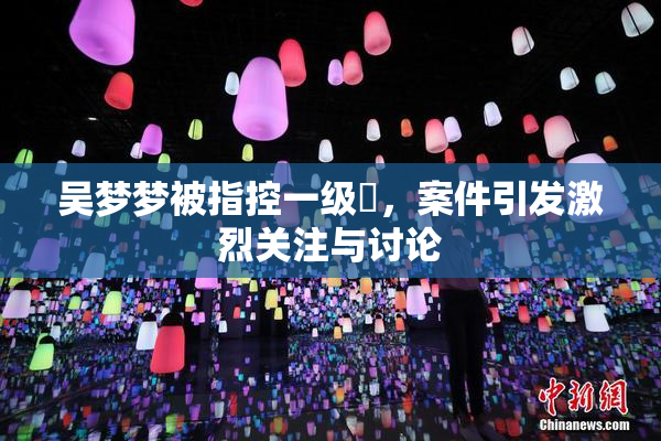 吴梦梦被指控一级婬，案件引发激烈关注与讨论
