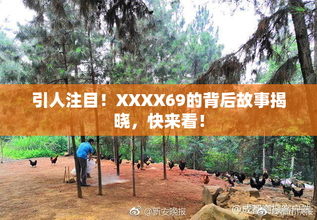 引人注目！XXXX69的背后故事揭晓，快来看！