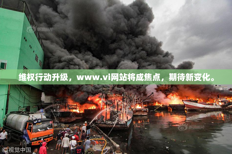 维权行动升级，www.vi网站将成焦点，期待新变化。