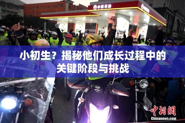 小初生？揭秘他们成长过程中的关键阶段与挑战