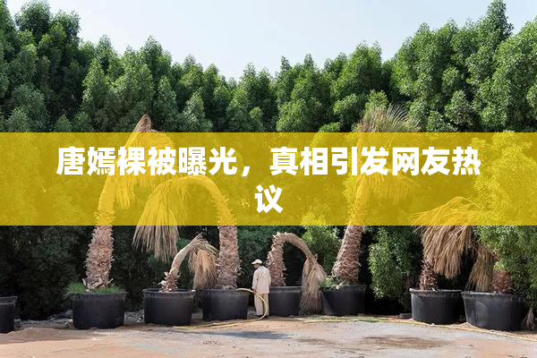 唐嫣裸被曝光，真相引发网友热议