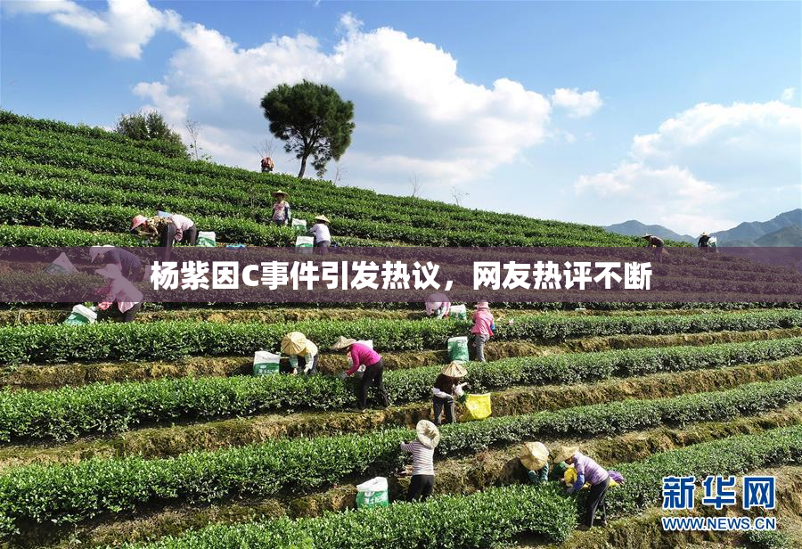杨紫因C事件引发热议，网友热评不断