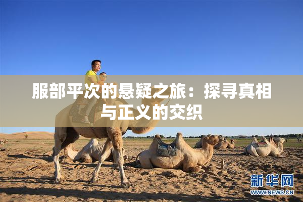 服部平次的悬疑之旅：探寻真相与正义的交织