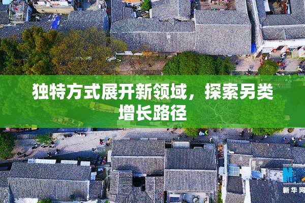 独特方式展开新领域，探索另类增长路径