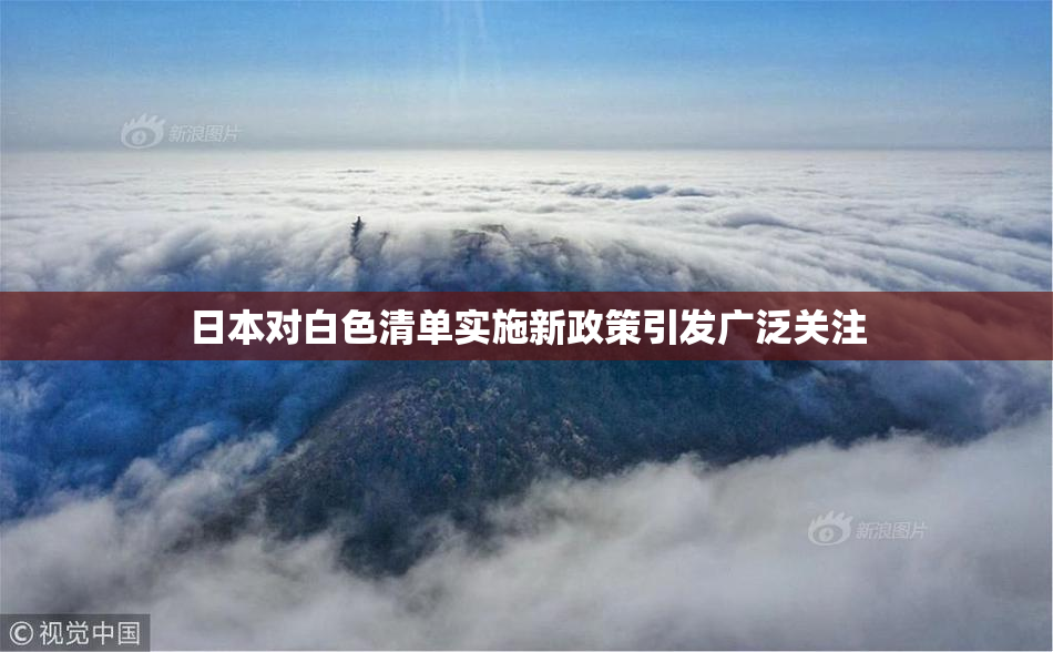 日本对白色清单实施新政策引发广泛关注