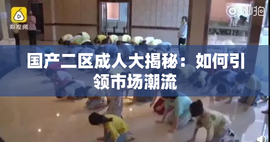 国产二区成人大揭秘：如何引领市场潮流
