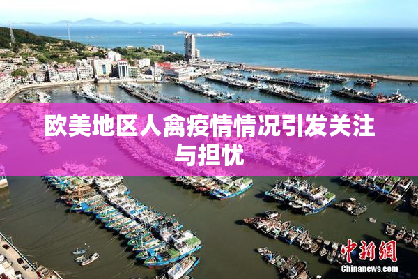 欧美地区人禽疫情情况引发关注与担忧
