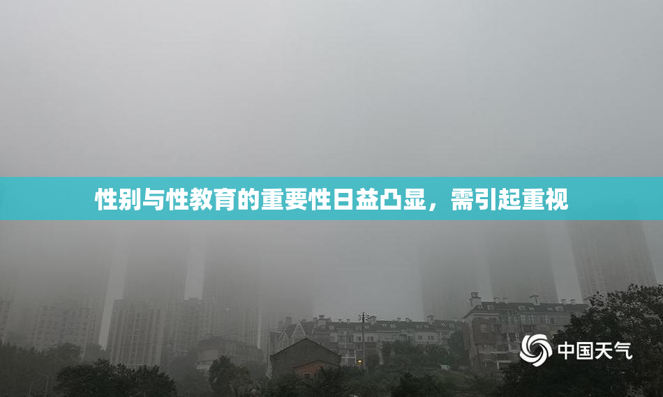 性别与性教育的重要性日益凸显，需引起重视