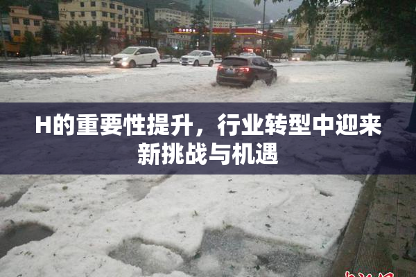 H的重要性提升，行业转型中迎来新挑战与机遇