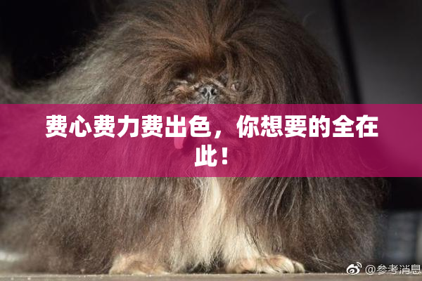 费心费力费出色，你想要的全在此！