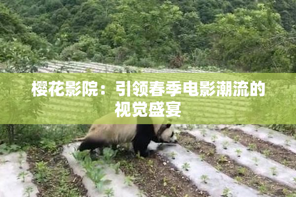 樱花影院：引领春季电影潮流的视觉盛宴