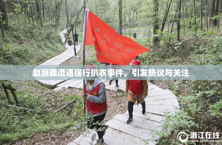 赵丽颖遭遇强行扒衣事件，引发热议与关注