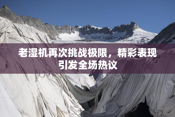 老湿机再次挑战极限，精彩表现引发全场热议