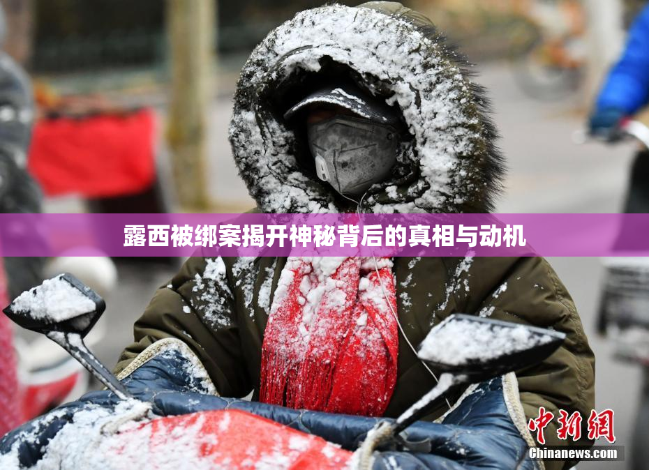 露西被绑案揭开神秘背后的真相与动机