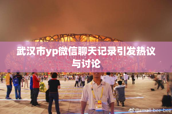 武汉市yp微信聊天记录引发热议与讨论
