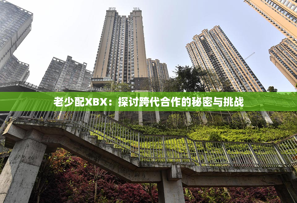 老少配XBX：探讨跨代合作的秘密与挑战