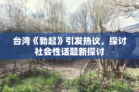 台湾《勃起》引发热议，探讨社会性话题新探讨