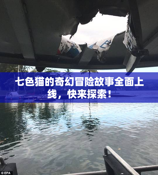 七色猫的奇幻冒险故事全面上线，快来探索！