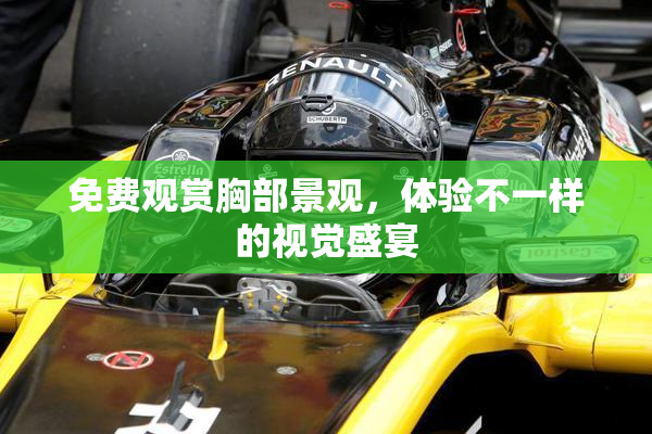免费观赏胸部景观，体验不一样的视觉盛宴