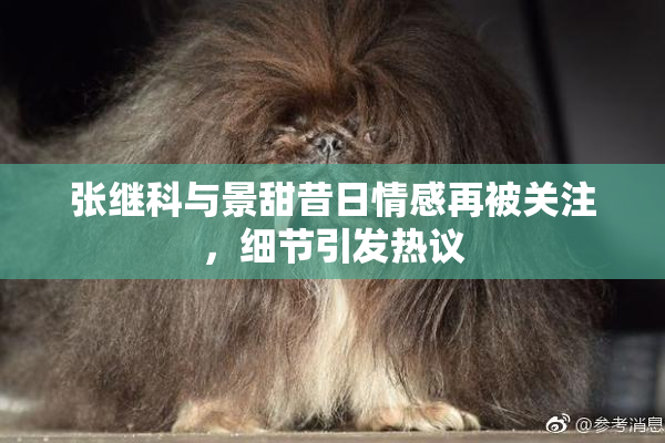张继科与景甜昔日情感再被关注，细节引发热议